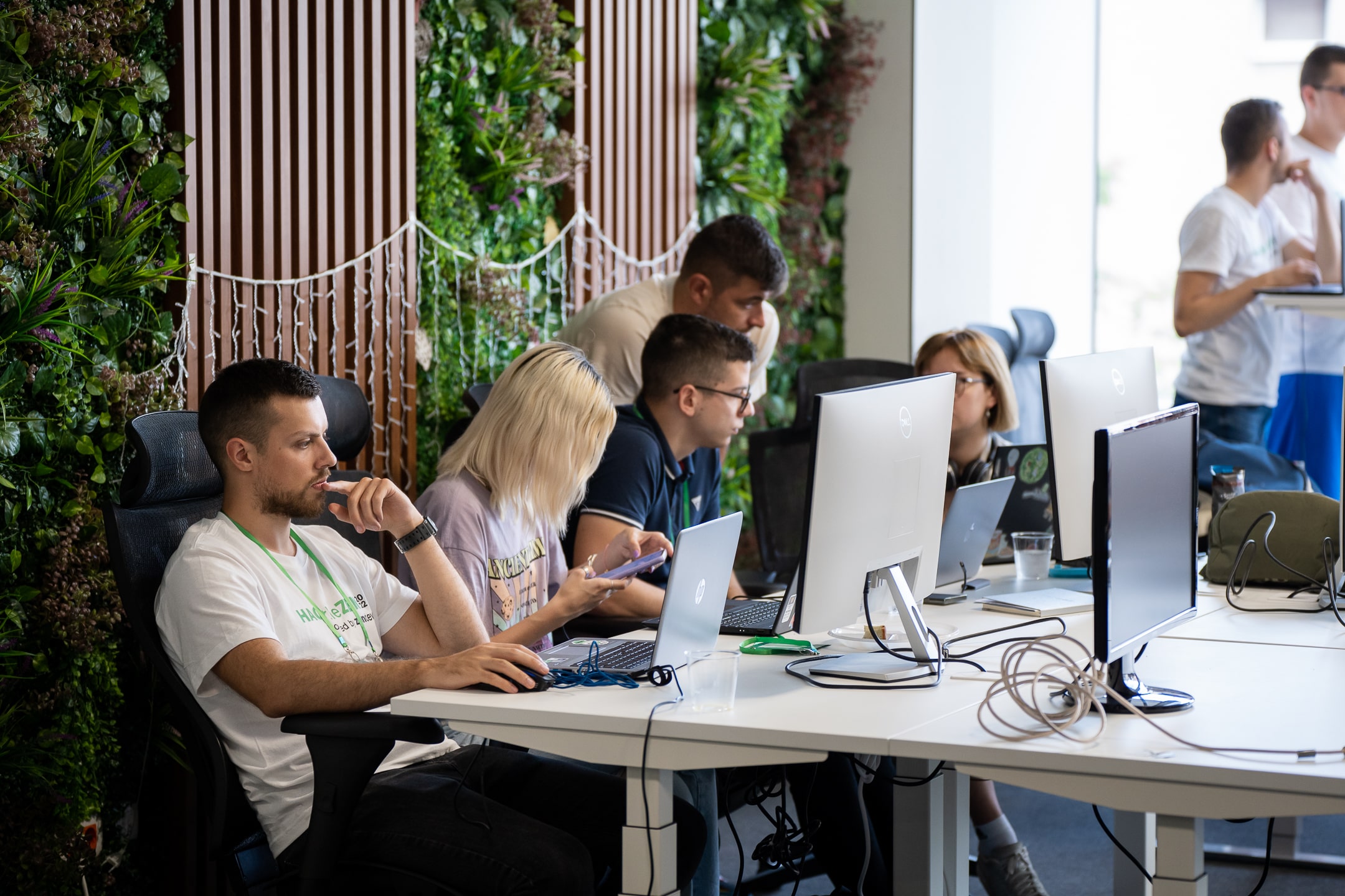 About | ZenDev