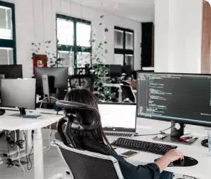 Software Development