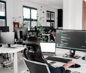 Software Development
