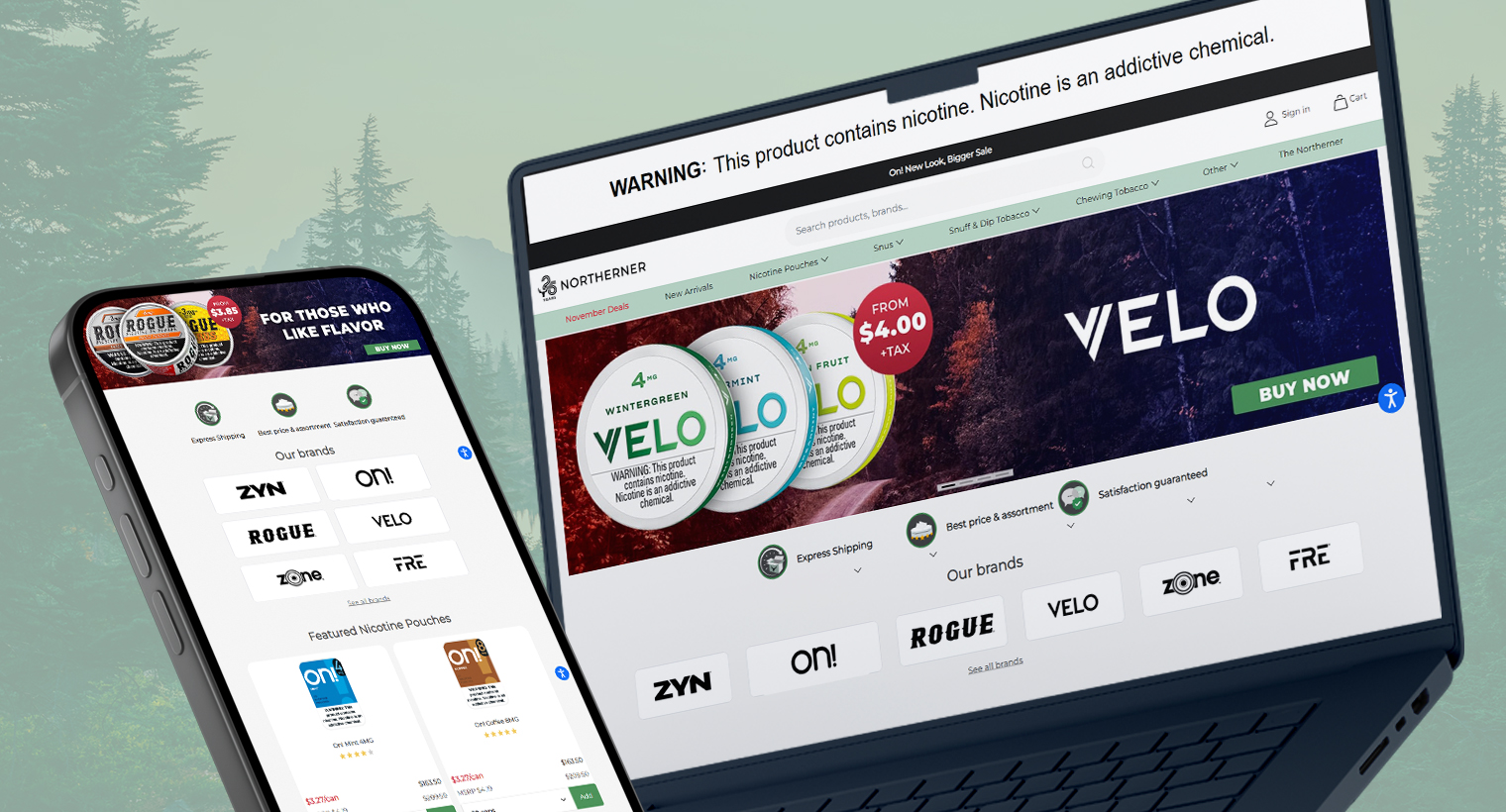 E-commerce software development company in sweden