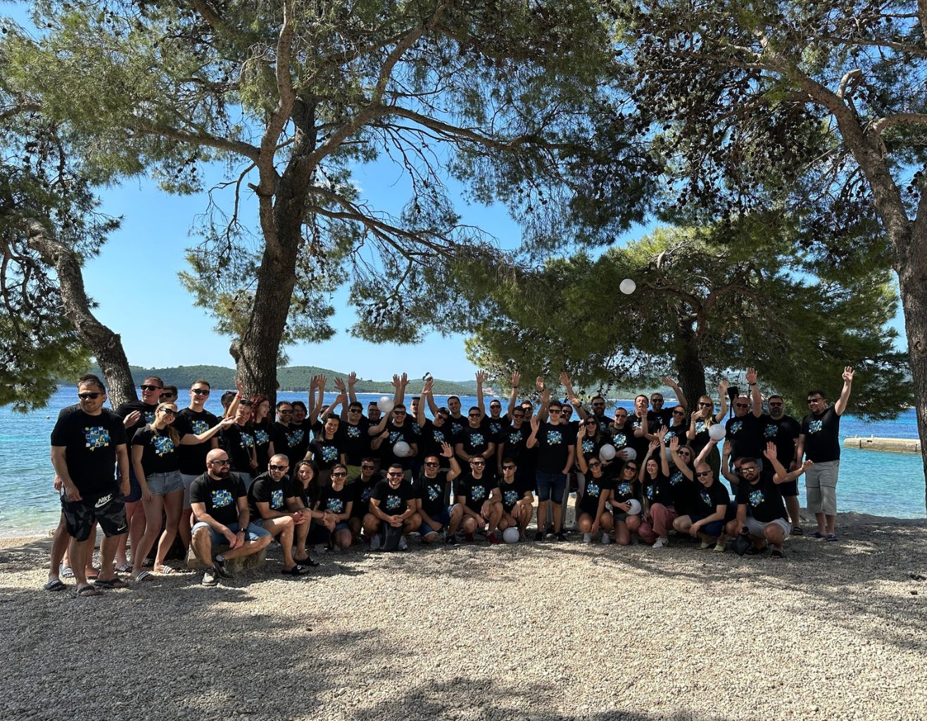 zendev team